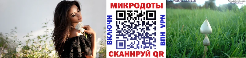 Галлюциногенные грибы Cubensis  Клинцы 